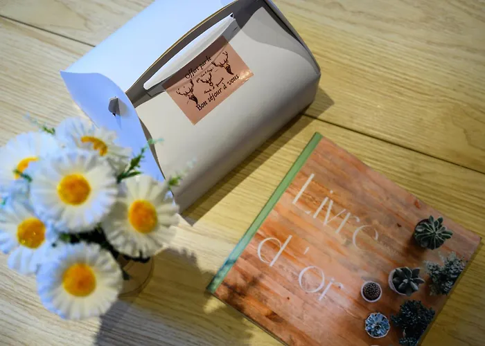 Dom wakacyjny Les 3 Cerfs - 3 Etoiles Plainfaing